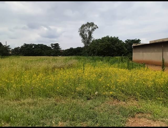 1,021M² VACANT LAND FOR SALE IN KOOKRUS